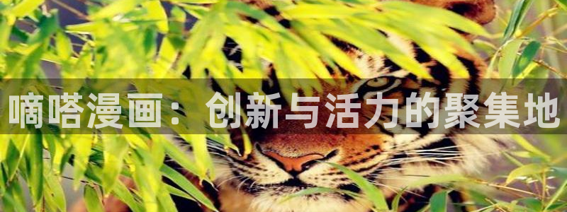 51漫画的下载软件：嘀嗒漫画：创新与活力的聚集地